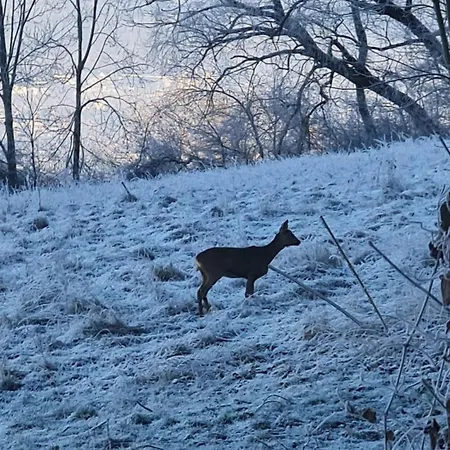 Einssein-bergfried 120 Qm Mit Terrasse Und Panoramablick Dettingen unter Teck