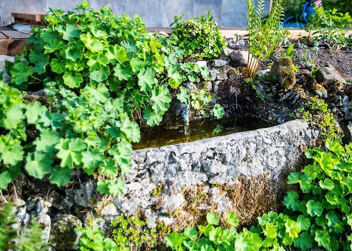 Einssein-bergfried 120 Qm Mit Terrasse Und Panoramablick